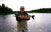 Alaska Chum Salmon.JPG (170657 bytes)